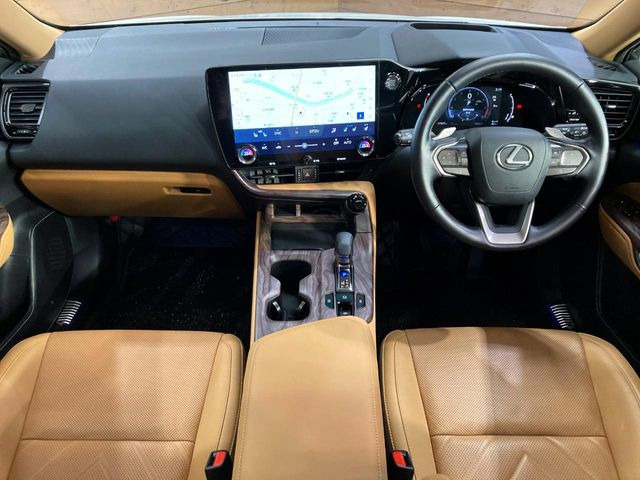 NX250 バージョンL