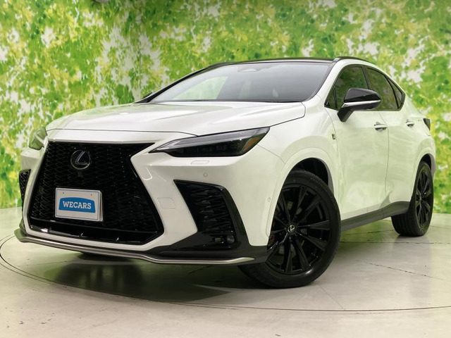 NX350h Fスポーツ