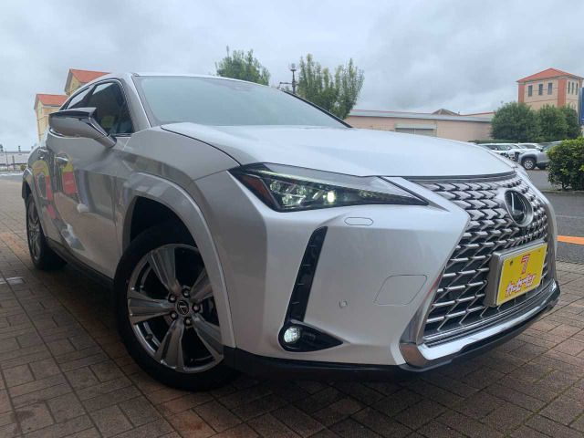 UX250h グレイスフル エクスプローラー