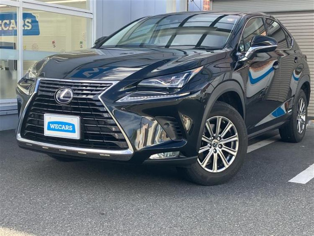 NX300h Iパッケージ