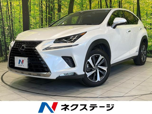 NX(レクサス) 300h バージョンL 中古車画像