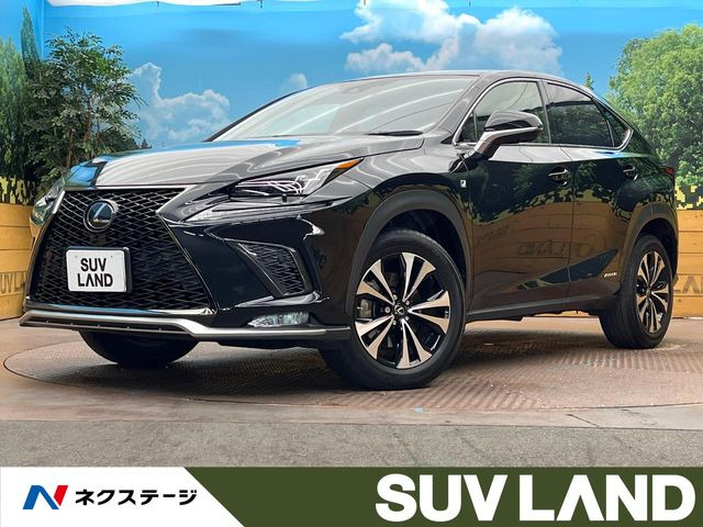NX300h Fスポーツ