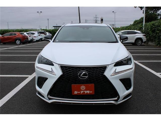 NX300 Fスポーツ