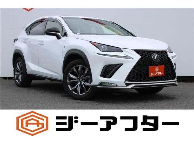 NX300 Fスポーツ