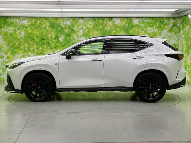NX350h Fスポーツ