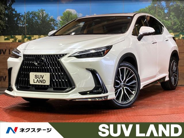 NX250 バージョンL