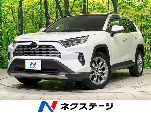 RAV42.0 G Zパッケージ 4WD