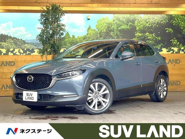 CX-30(マツダ) 2.0 20S プロアクティブ 中古車画像