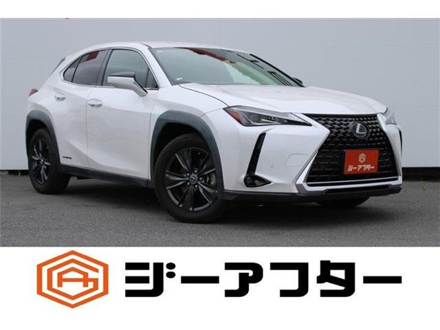 UX250h バージョンC