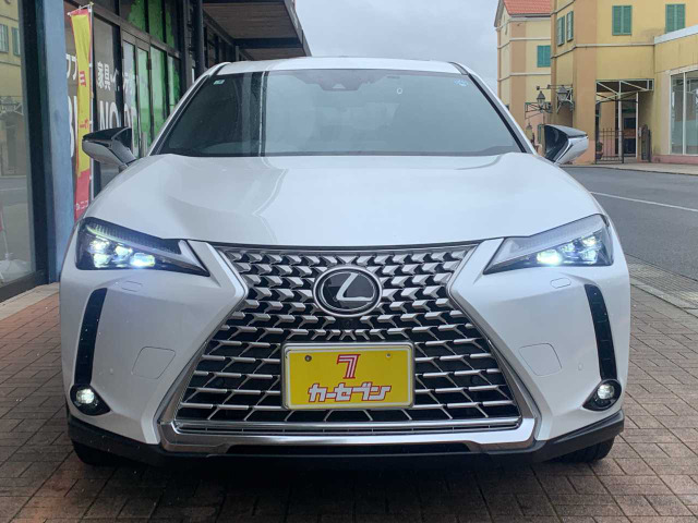 UX250h グレイスフル エクスプローラー