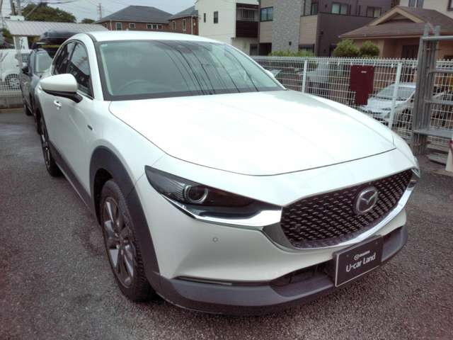 CX-301.8 XD 100周年特別記念車 4WD