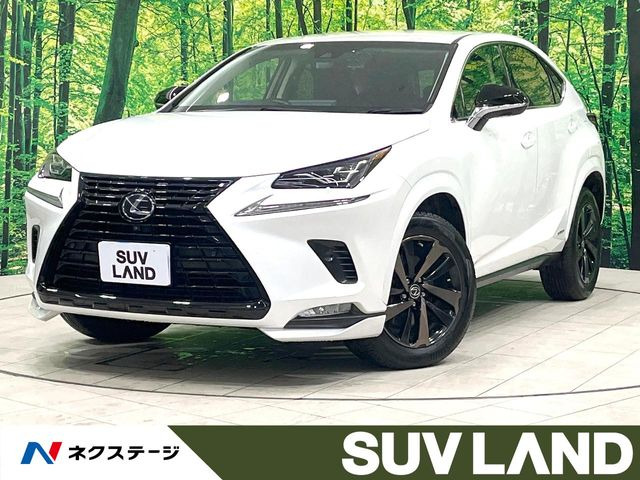 NX300h ブラック シークエンス