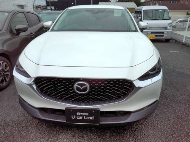 CX-301.8 XD 100周年特別記念車 4WD