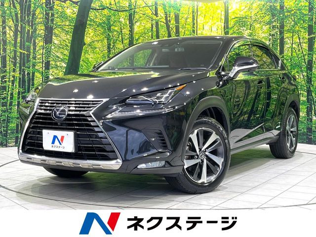 NX300h Iパッケージ