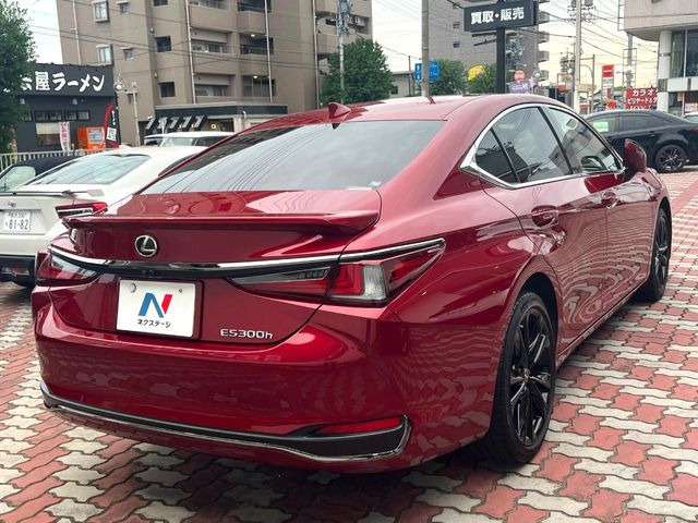 ���S���̃l�N�X�e�[�W���炨���񂹂��\��!�����̓X�܂ɓW�����Ă���N���}���C�ɂȂ�ꍇ���A�Ŋ��̓X�܂ł��������������Ƃ��\�ł�!���񎄂����ɗv�]������������������!���ʓr��p