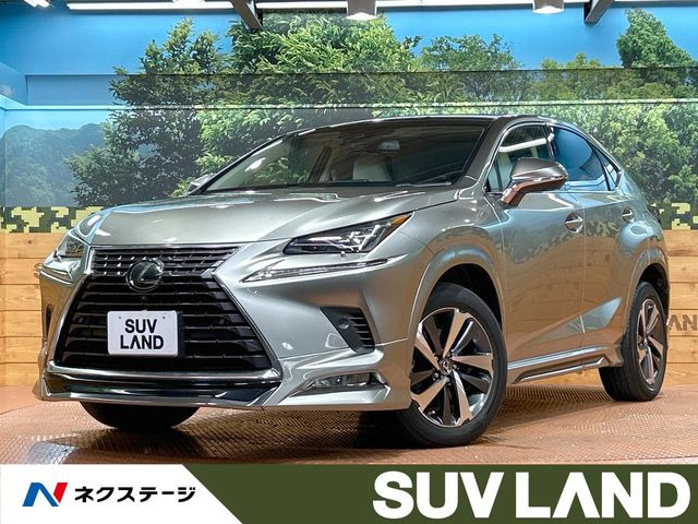NX300 バージョンL