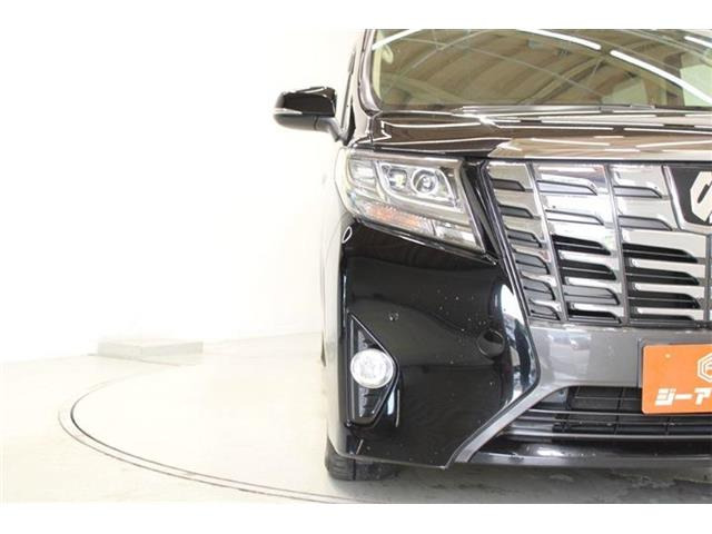�ቿ�i�ŗǎ��Ȃ��Ԃ�S�Б���3,000�݌ɂ��炨�I�т��������܂��B�c�Ǝ��� 10:00�`19:00
