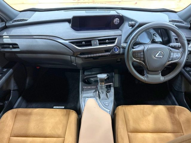 UX250h