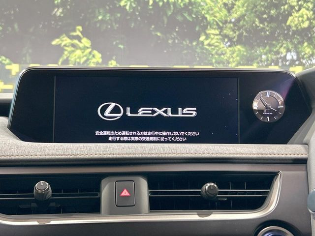 UX250h