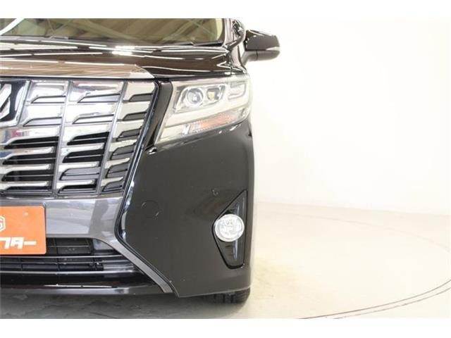 �ቿ�i�ŗǎ��Ȃ��Ԃ�S�Б���3,000�݌ɂ��炨�I�т��������܂��B�c�Ǝ��� 10:00�`19:00