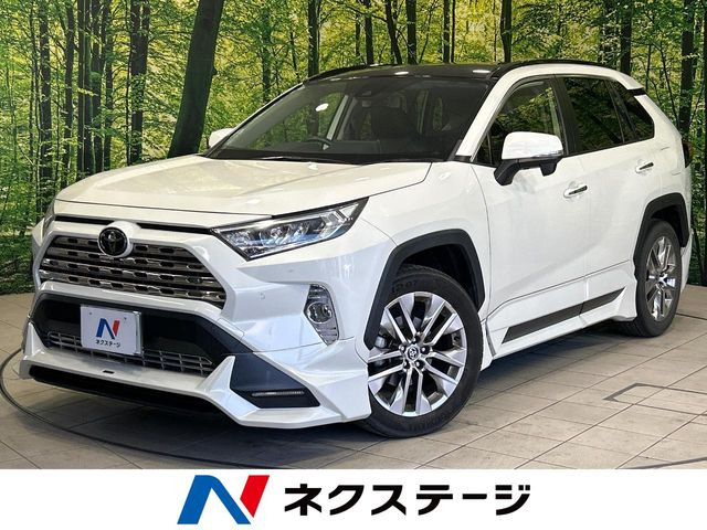 RAV4(トヨタ) 2.0 G Zパッケージ 4WD 中古車画像