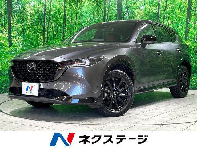 CX-5(マツダ) 2.2 XD レトロスポーツエディション 中古車画像