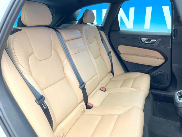���㕔���Ȃ��C�ɂȂ�悤�ȃL�Y�E�����ւ��蓙�A�傫�ȃ_���[�W�͂Ȃ��A�ǍD�ȏ�Ԃł��B