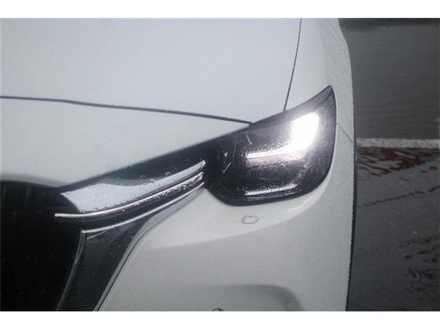 同業者様への販売はお断りさせていただきます。車検無し車両の場合は、車検を取得したお支払い総額で表示しております。
