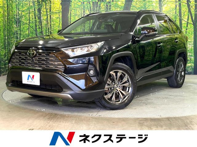 RAV4(トヨタ) 2.0 G 4WD 中古車画像