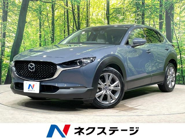 CX-30(マツダ) 1.8 XD プロアクティブ ツーリングセレクション 中古車画像