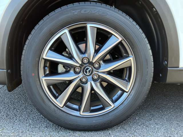 CX-52.0 20S シルク ベージュ セレクション