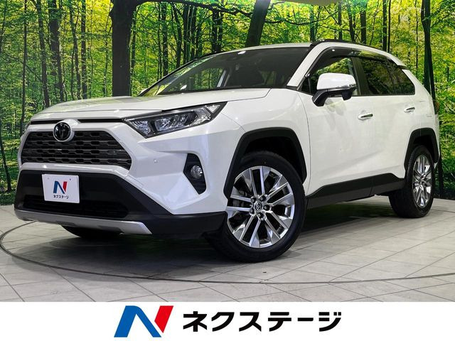 RAV4(トヨタ) 2.0 G Zパッケージ 4WD 中古車画像