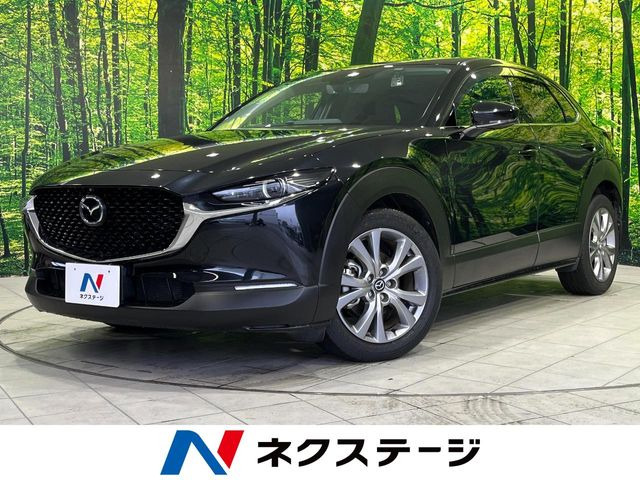 CX-30(マツダ) 2.0 20S プロアクティブ ツーリングセレクション 中古車画像