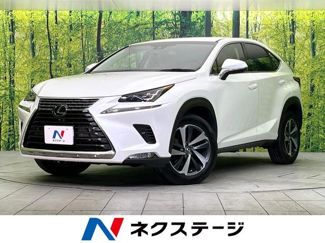NX(レクサス) 200t Iパッケージ 中古車画像