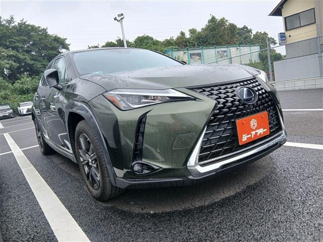 UX250h ブラウン エディション
