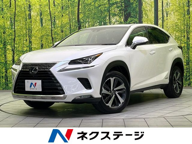 NX(レクサス) 300h バージョンL 中古車画像