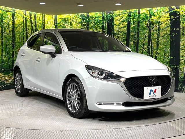 �������x�̃K���X�疌�ŝ����͂������A�㎿�ȃc���E����������B���O����_���J�����؂Ȉ��Ԃ�ی삵�A�F�����E�򉻂�h�~�B�u�e�X�v���b�V���R�[�g�v�A�u�e�v���~�b�T�R�[�g�v���炨�I�т��������܂��B