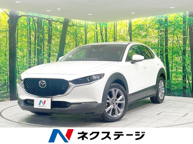 CX-30(マツダ) 2.0 20S プロアクティブ ツーリングセレクション 中古車画像