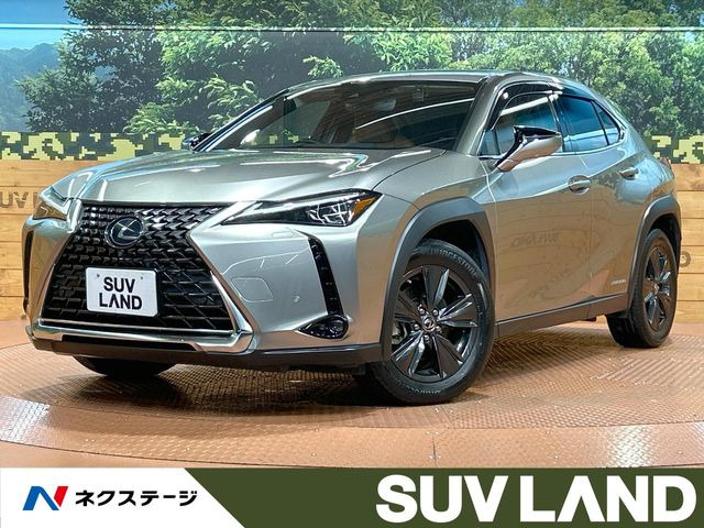 UX250h バージョンC