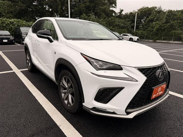 NX300 Fスポーツ