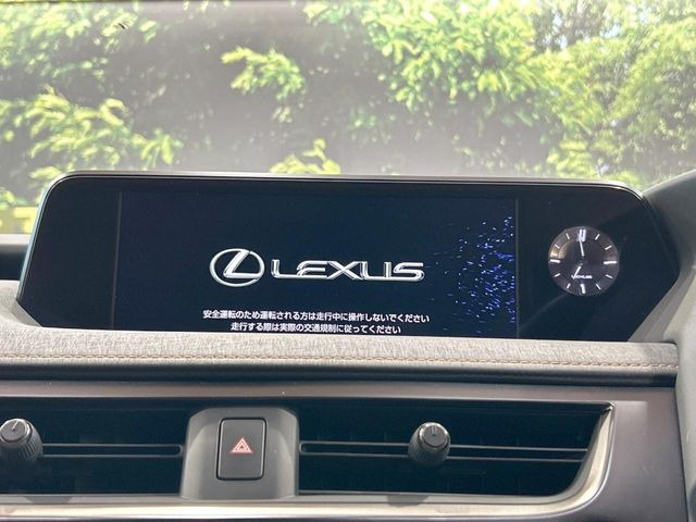 UX250h バージョンC