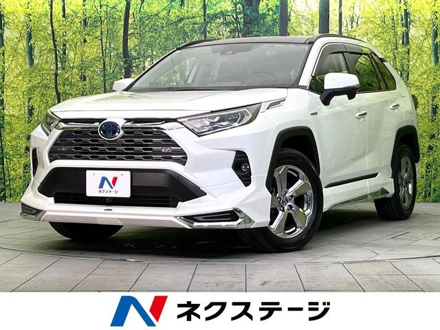 RAV4(トヨタ) 2.5 ハイブリッド G E-Four 4WD 中古車画像