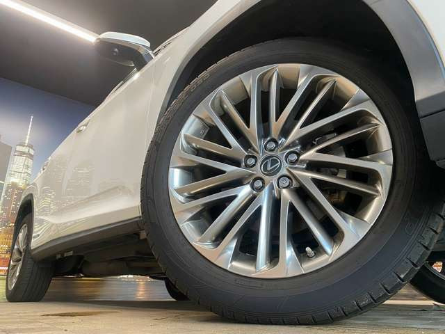 ����20�C���`�A���~�z�C�[��!�A���~�̃R�[�e�B���O��������܂�!���ꂪ���ȃA���~�z�C�[�������S�ł�!!
