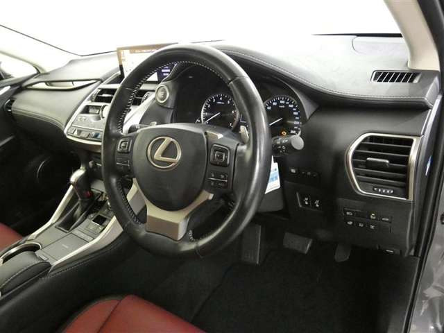 NX300 バージョンL 4WD