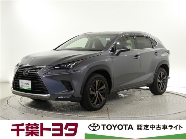NX300 バージョンL 4WD
