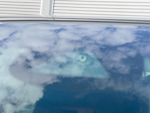 【ホンダセンシング】走行中に前方の車両等を認識し、衝突しそうな時は警報とブレーキで衝突回避と被害軽減をアシスト。より安全にドライブをお楽しみいただけます。