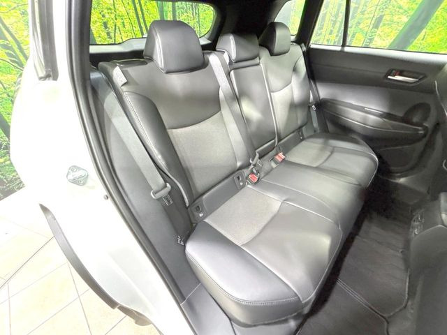 �㕔���Ȃ��C�ɂȂ�悤�ȃL�Y�E�����ւ��蓙�A�傫�ȃ_���[�W�͂Ȃ��A�ǍD�ȏ�Ԃł��B