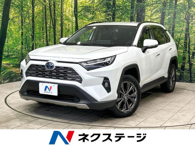 RAV4(トヨタ) 2.5 ハイブリッド G E-Four 4WD 中古車画像