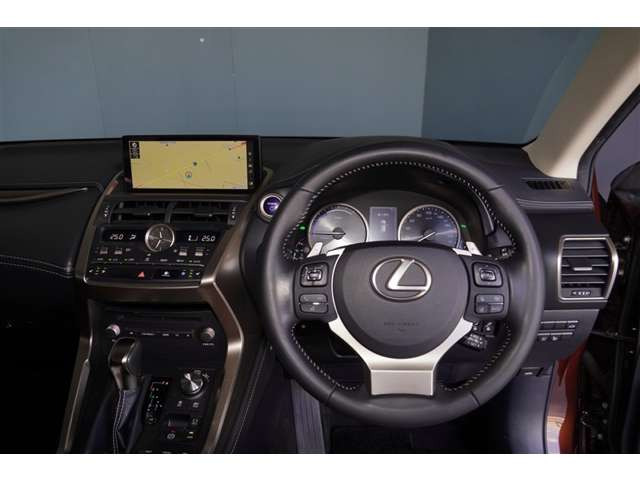 NX300h バージョンL 4WD