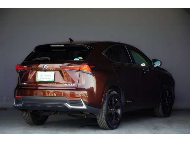 NX300h バージョンL 4WD